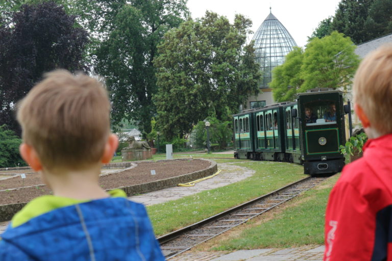 Palmengarten mit Palmen-Express