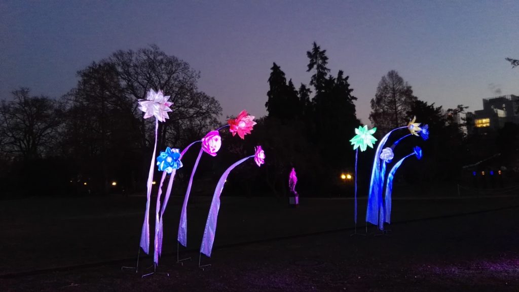 Schöne Blumen-Lichtinstallationen Winterlichter Palmengarten