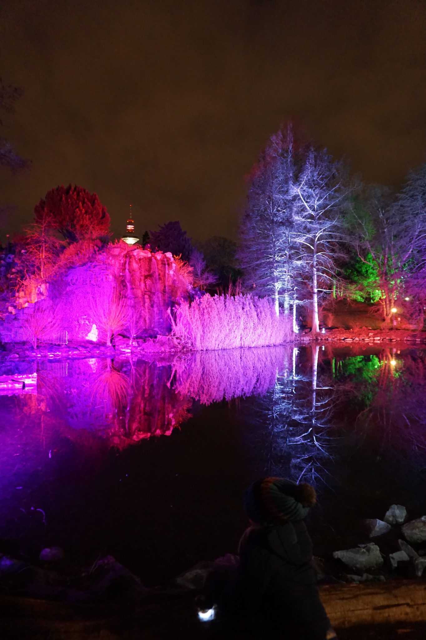 Winterlichter im Palmengarten Frankfurt mit Kids