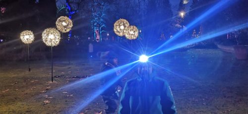 Lichterspielchen im Palmengarten