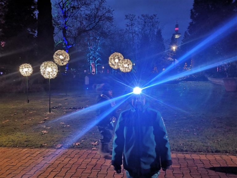 Lichterspielchen im Palmengarten