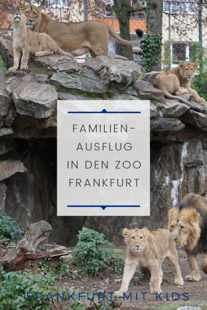 Familienausflug in den Zoo Frankfurt