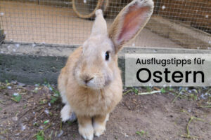 Ostern in Frankfurt