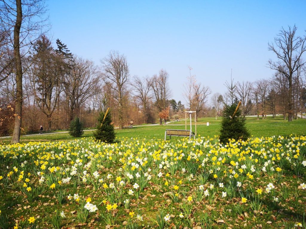 Der wunderschöne frühlingshafte Goldsteinpark in Bad Nauheim