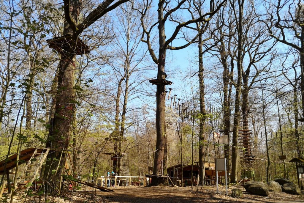 Ein toller Klettergarten auf dem Neroberg in Wiesbaden