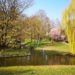 Kurpark in Bad Nauheim
