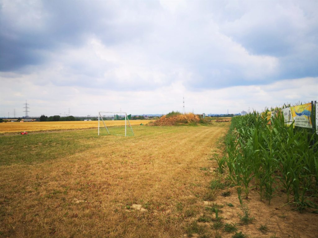 Fußballfeld am Maislabyrinth in Oberursel-Weißkirchen