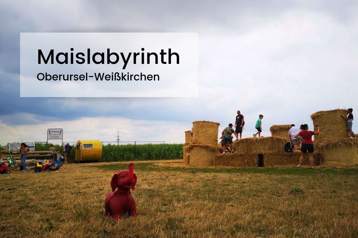 Maislabyrinth Oberursel-Weißkirchen