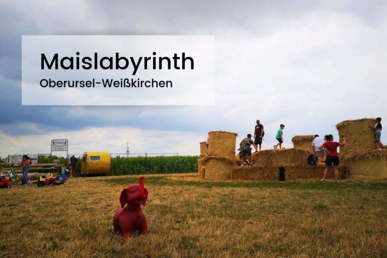 Maislabyrinth Oberursel-Weißkirchen