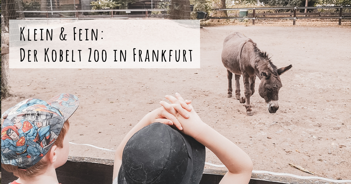 Frankfurt Mit Kleinkind Frankfurt Mit Kleinkind