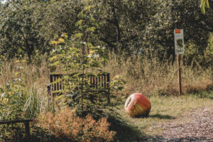 NaturErlebnisGarten Karben Frankfurt mit Kids