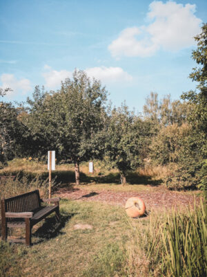 NaturErlebnisGarten Karben Frankfurt mit Kids