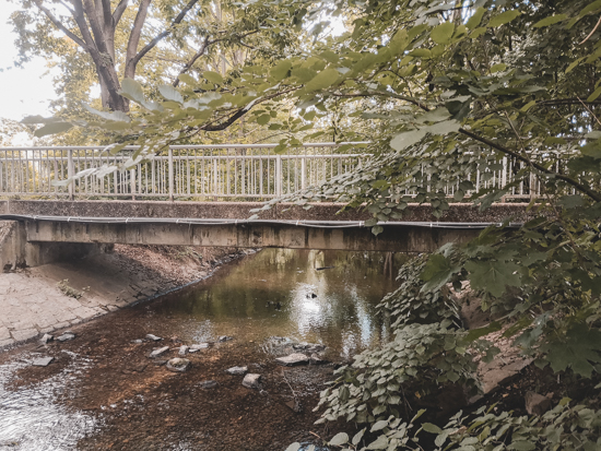 Erlenbach Bad Vilbel