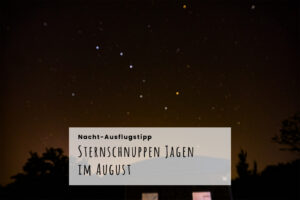 Sternschnuppen im August