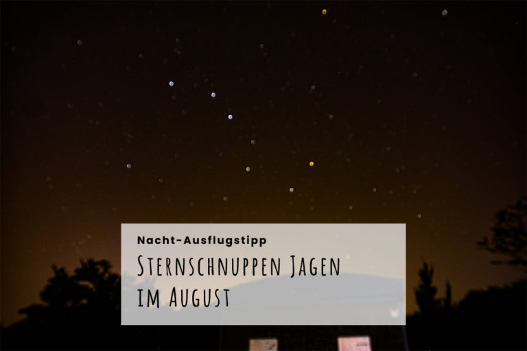 Sternschnuppen im August