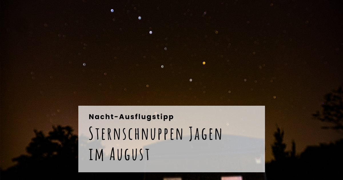 Sternschnuppen Im August Unser Nacht Abenteuer Frankfurt Mit Kids