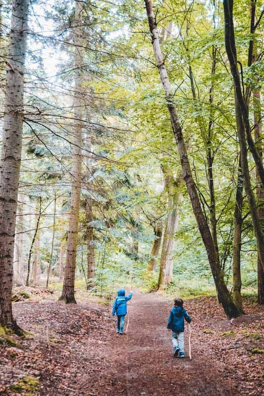 Kinder im Abenteuerwald Stadtwald Frankfurt