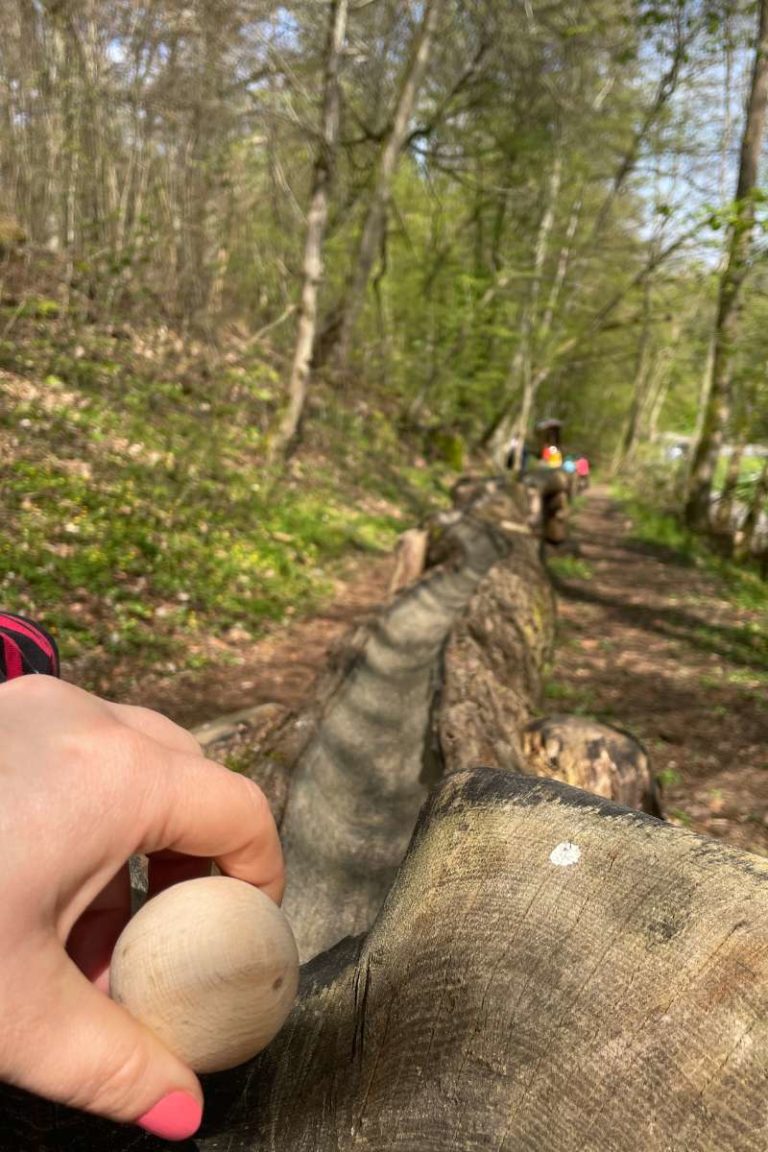 Kugelbahn Neuweilnau Spielspaß für Familien